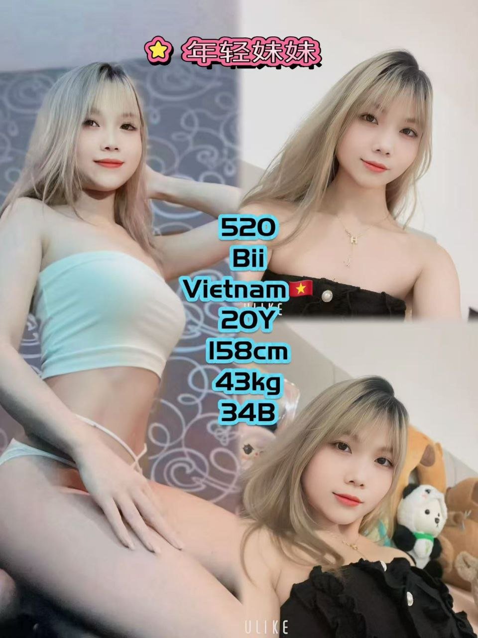 520 - Bii JB Escort Playboy