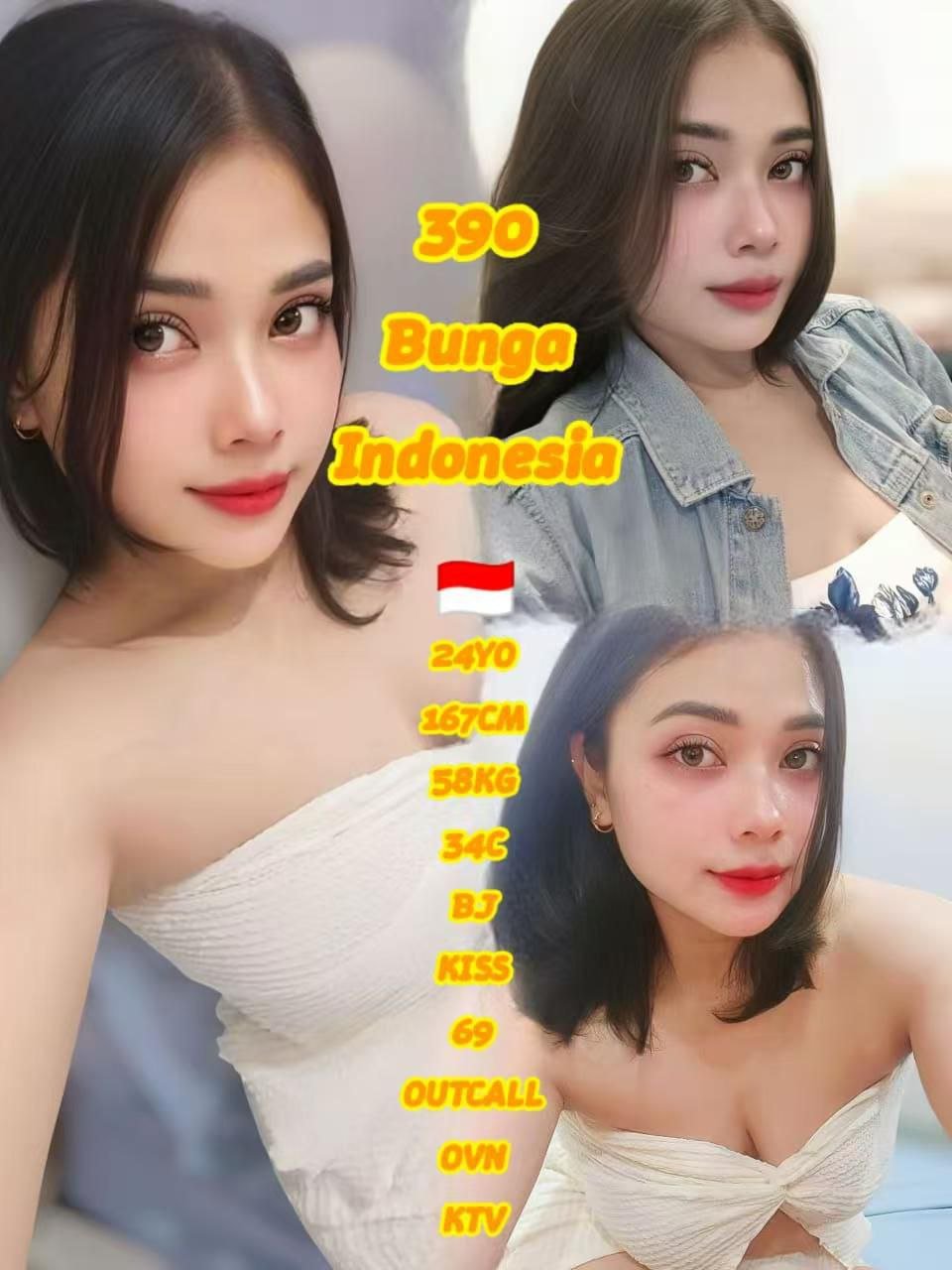 390 - Bunga JB Escort Playboy
