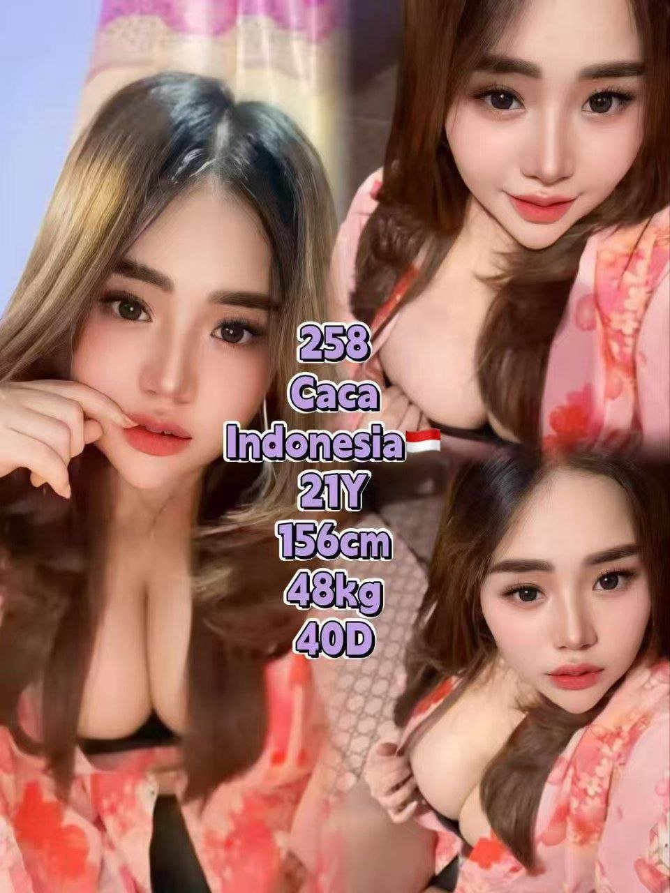 258 - Caca JB Escort Playboy