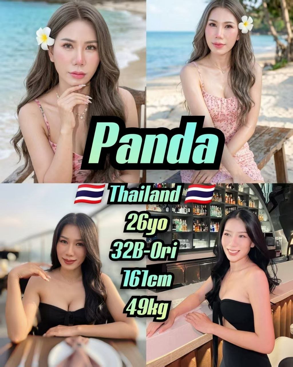 Panda JB Escort Playboy