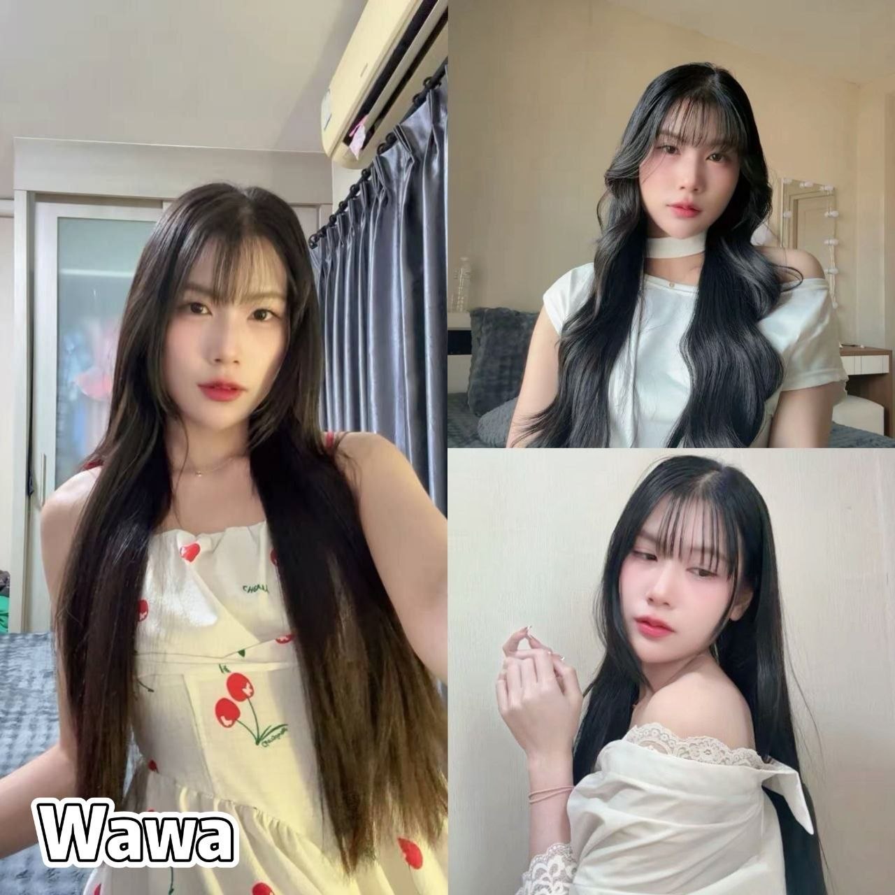 Wawa JB Escort Playboy