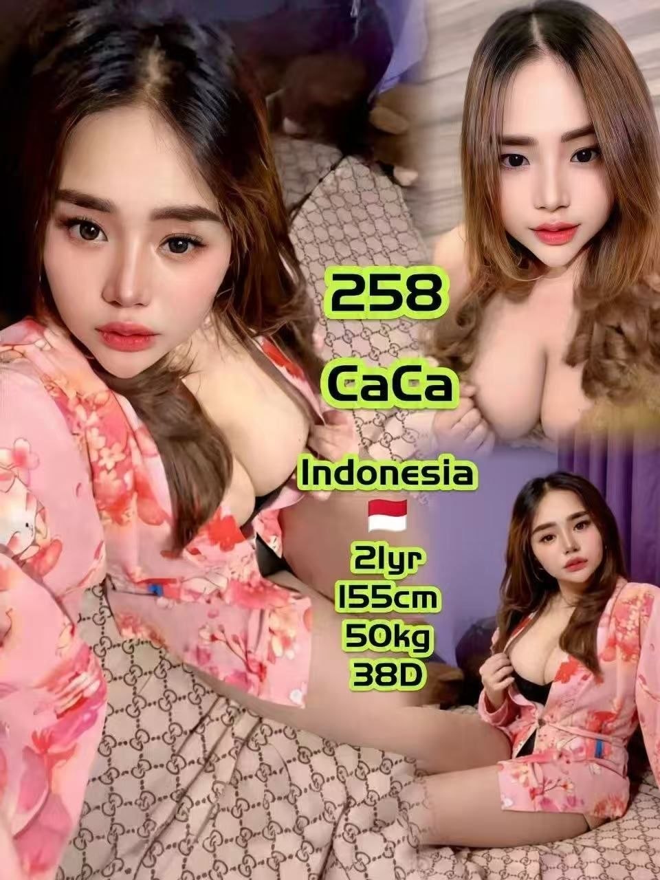 258 Caca JB Escort Playboy